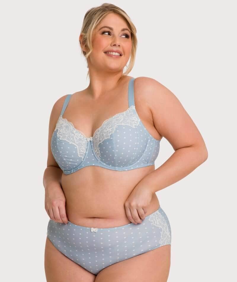 Ava & Audrey Jacqueline Full Brief with Lace - Blue/Ivory - Image 9