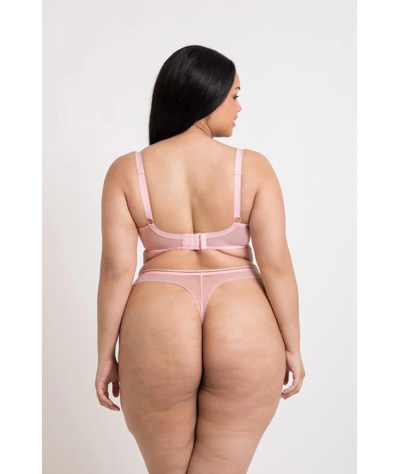Curvy Kate Lifestyle Thong - Blush Pink - Image 6