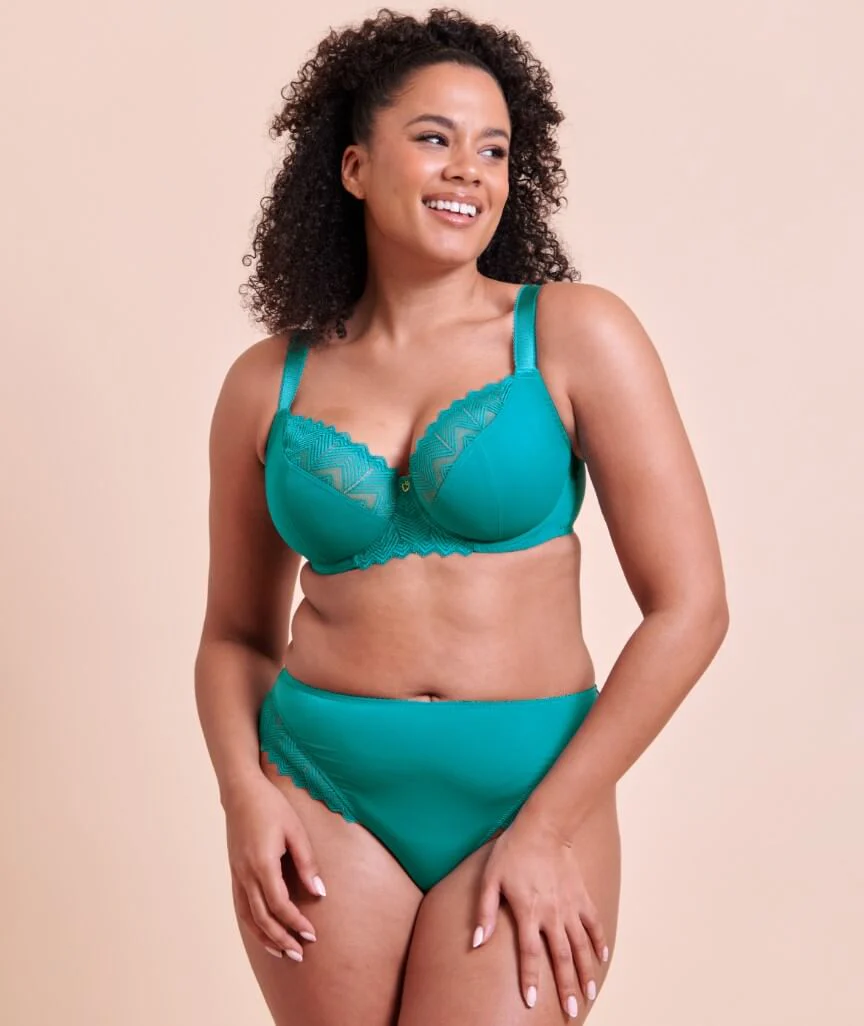 Curvy Kate Wild One Brazilian Brief - Teal Blue - Image 3