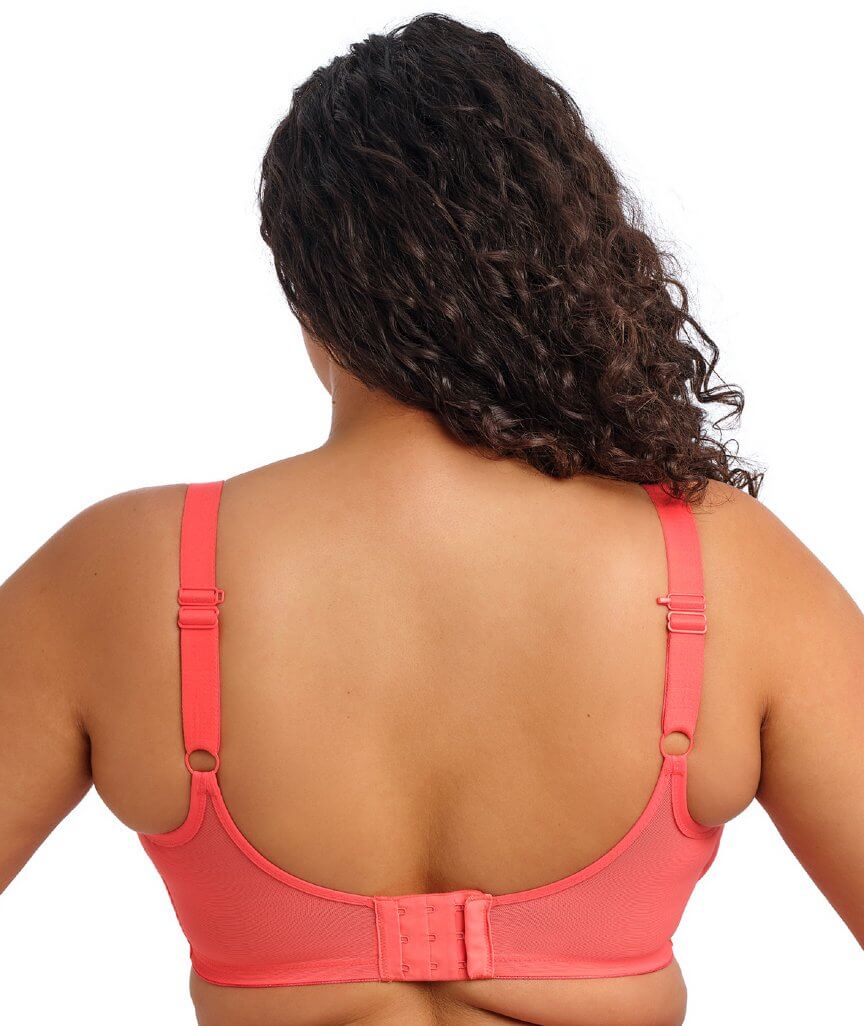Elomi Matilda Underwired Plunge Bra - Sunset - Image 3