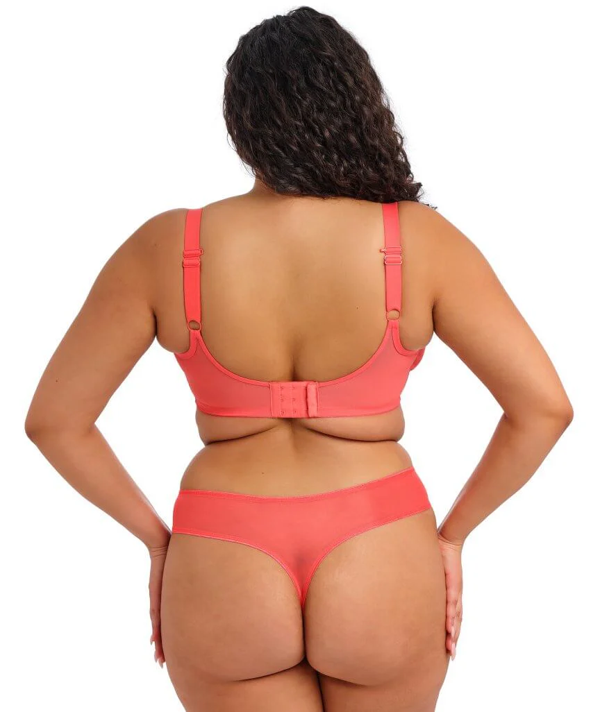 Elomi Matilda Underwired Plunge Bra - Sunset - Image 9