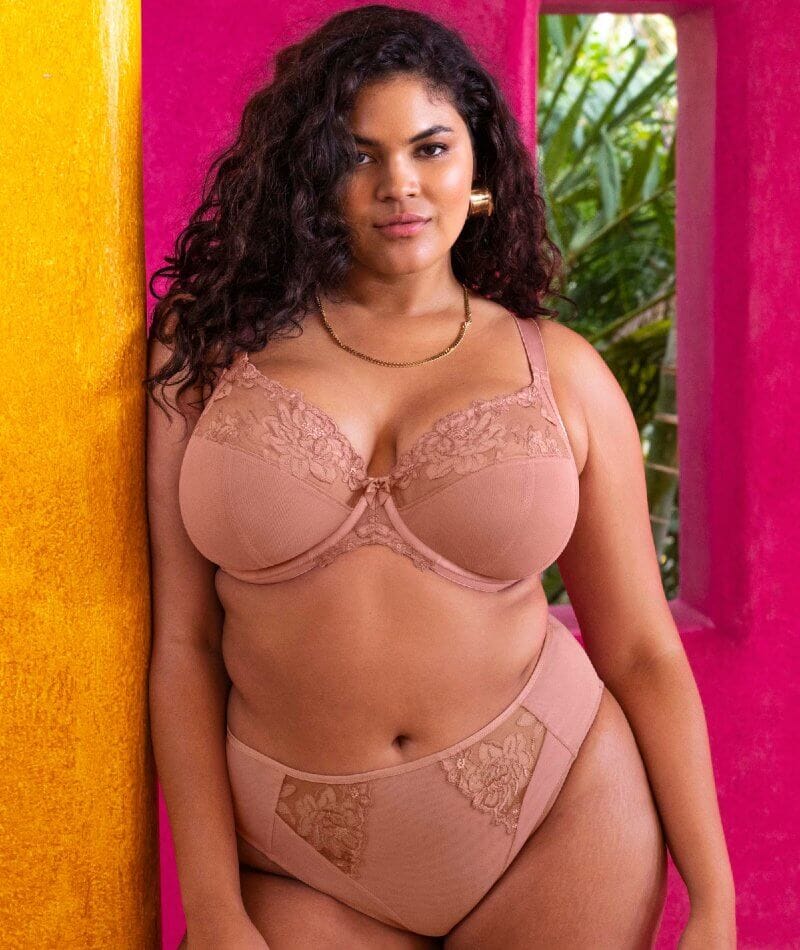 Elomi Teagan High Leg Brief - Ash Rose - Image 4