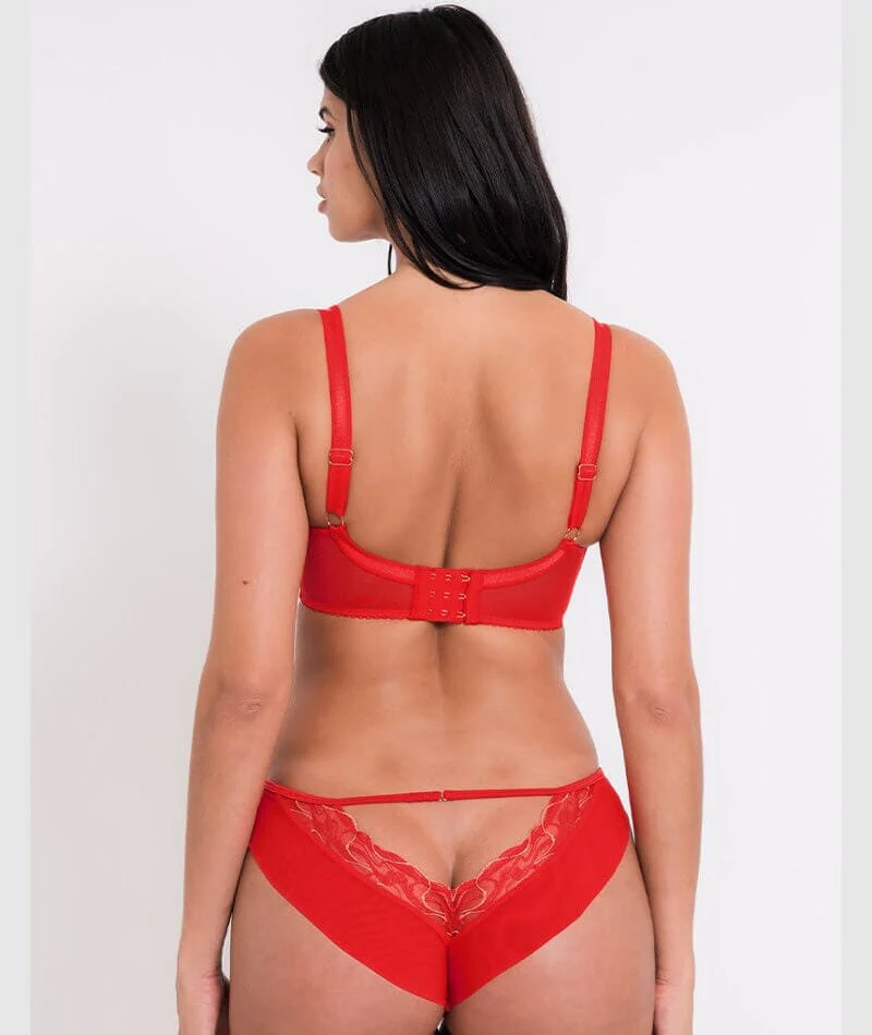 Scantilly Fascinate Plunge Bra - Poppy Red - Image 4