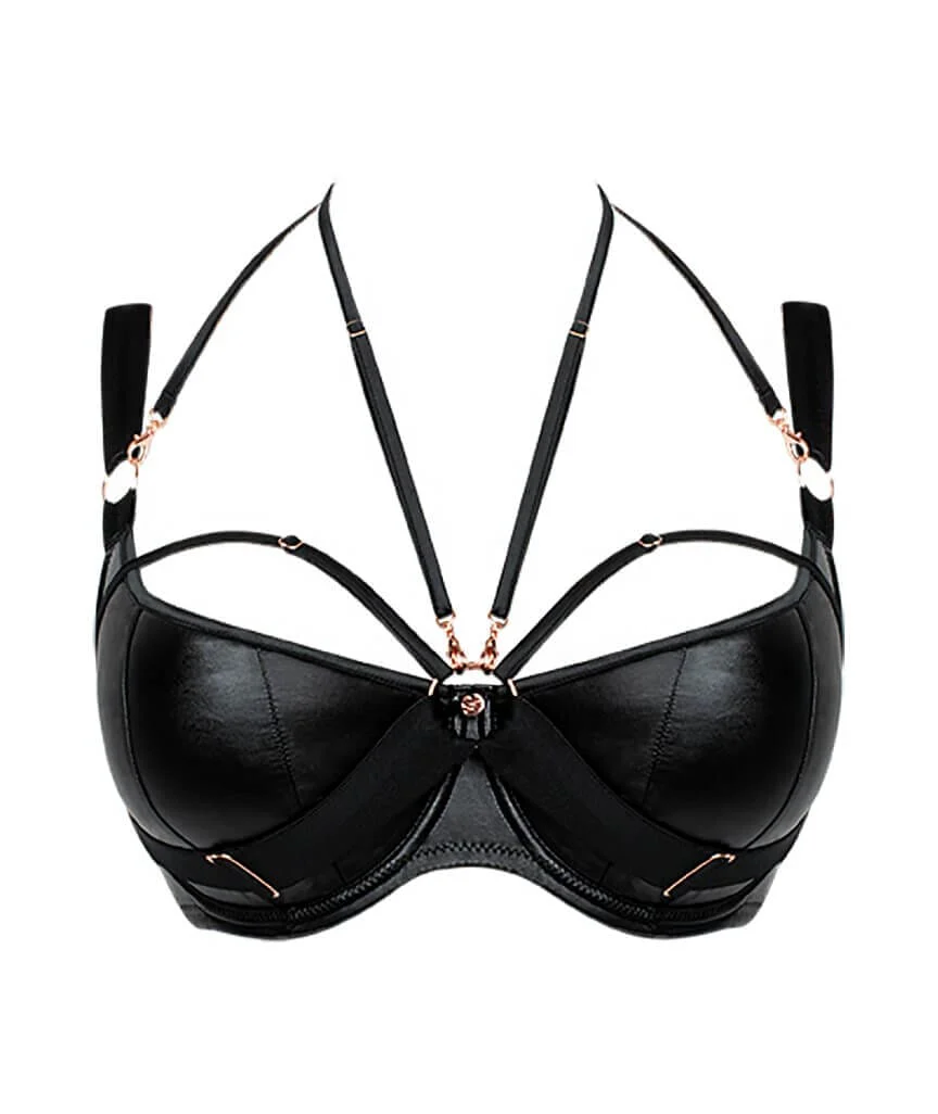 Scantilly Harnessed Padded Half Cup Bra - Black - Image 10