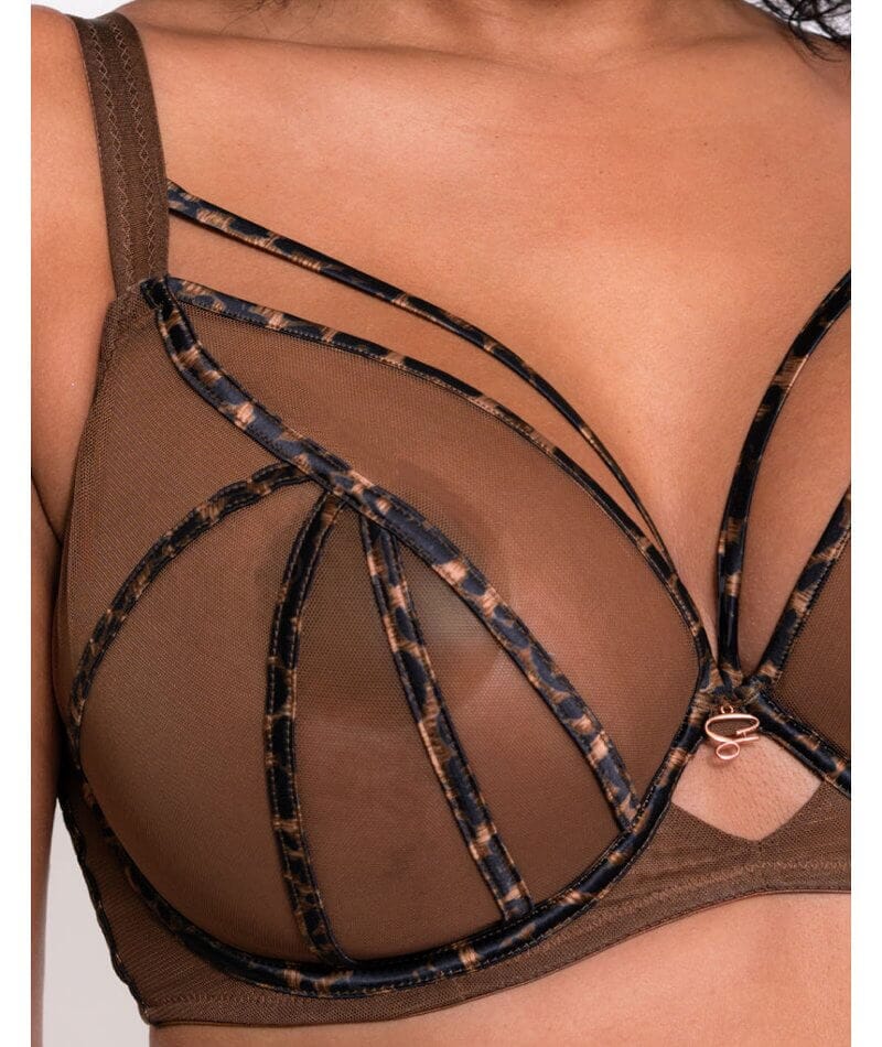 Scantilly Senses Plunge Bra - Leopard Brown - Image 9