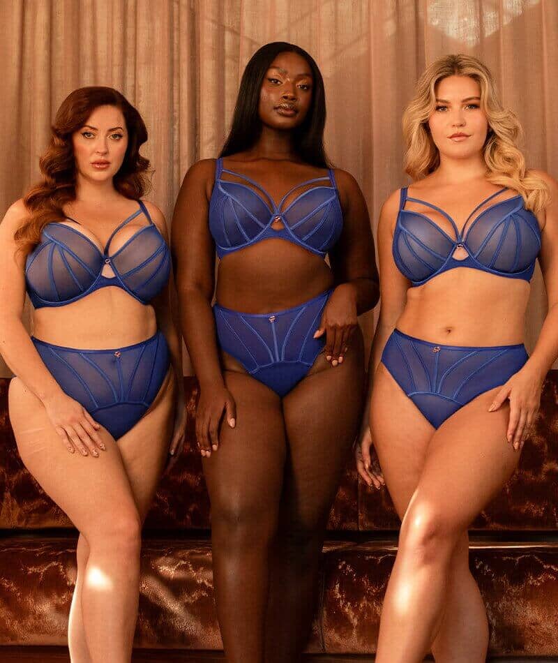 Scantilly Senses Plunge Bra - Ultraviolet - Image 8