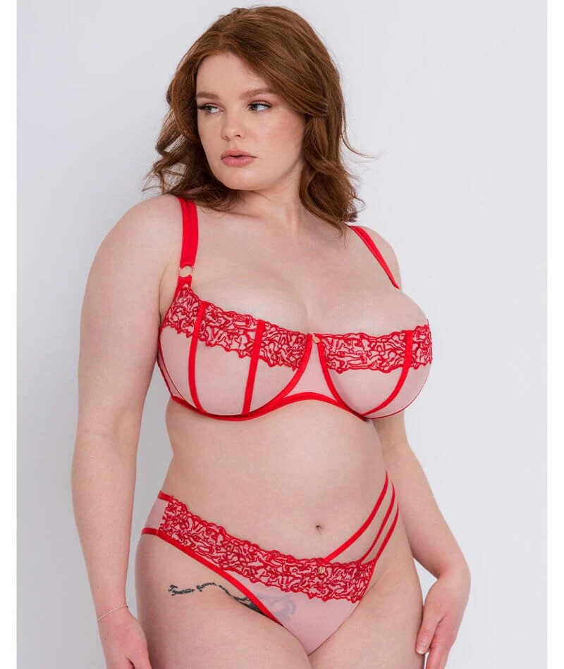 Scantilly Tantric Balcony Bra - Pink/Red - Image 3